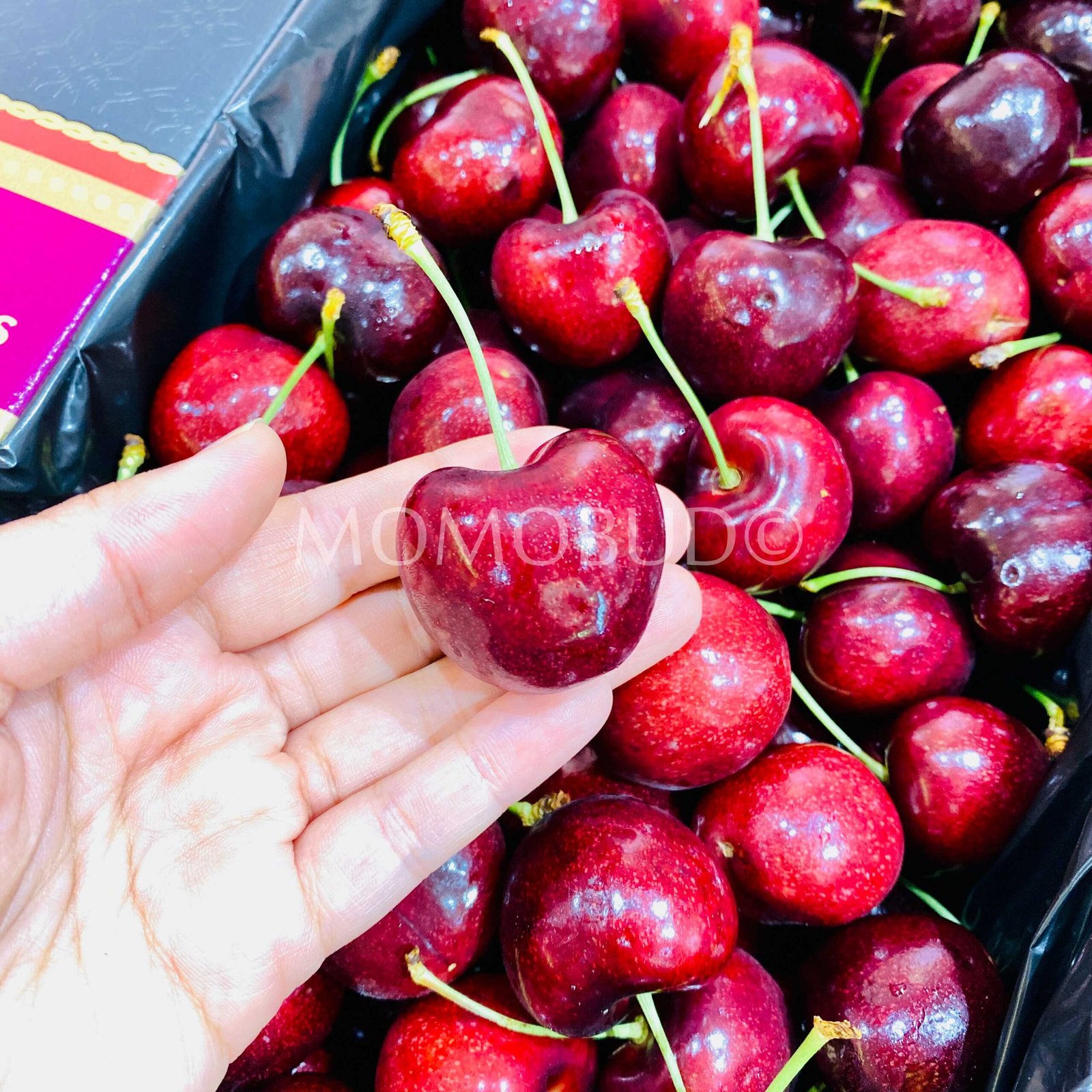 Tasmanian Reid Signature Collection Sweet Georgia Red Cherry (2kg Premium Box) - Image 4
