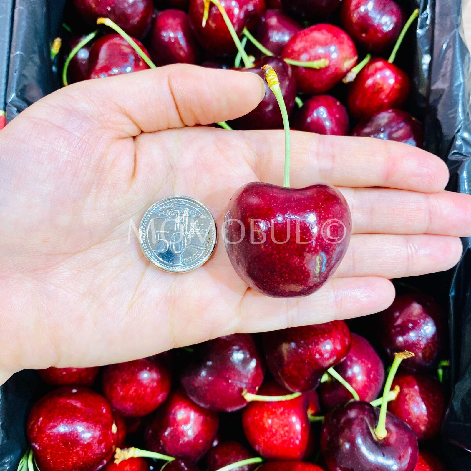 Tasmanian Reid Signature Collection Sweet Georgia Red Cherry (2kg Premium Box) - Image 5