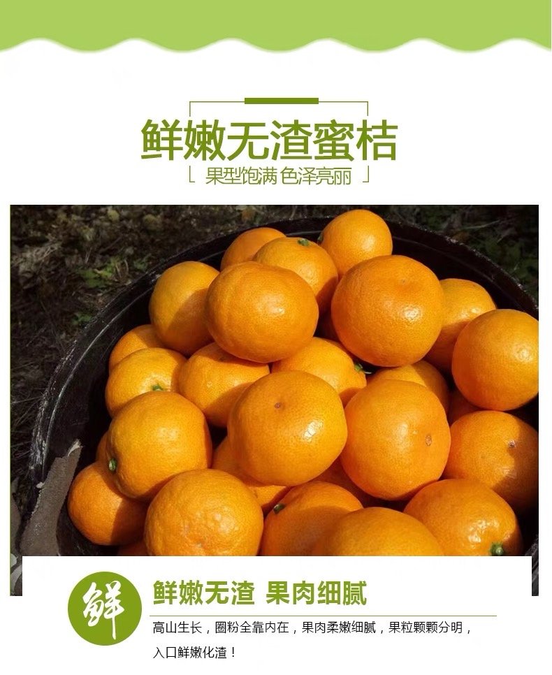 Premium Yongquan Mandarin Orange Gift Box - Image 7