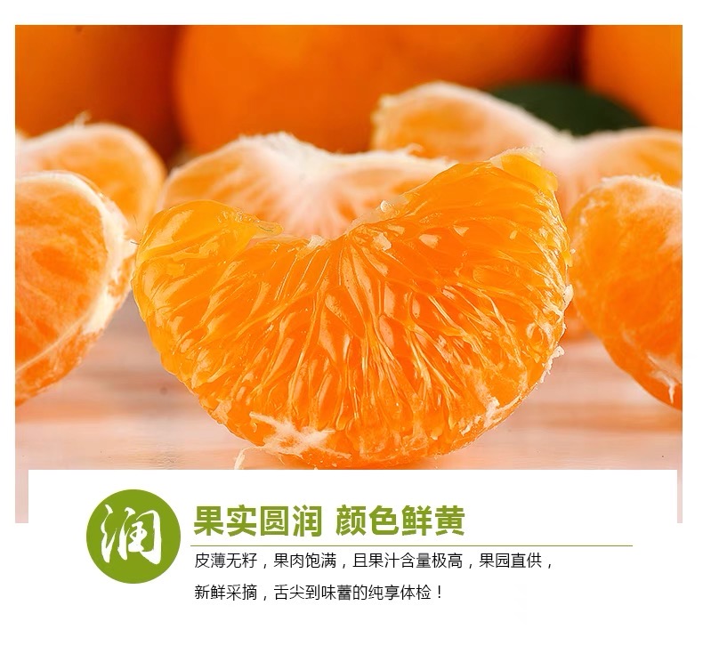Premium Yongquan Mandarin Orange Gift Box - Image 9
