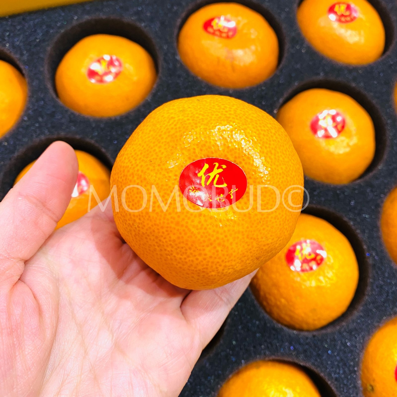 Premium Yongquan Mandarin Orange Gift Box - Image 3