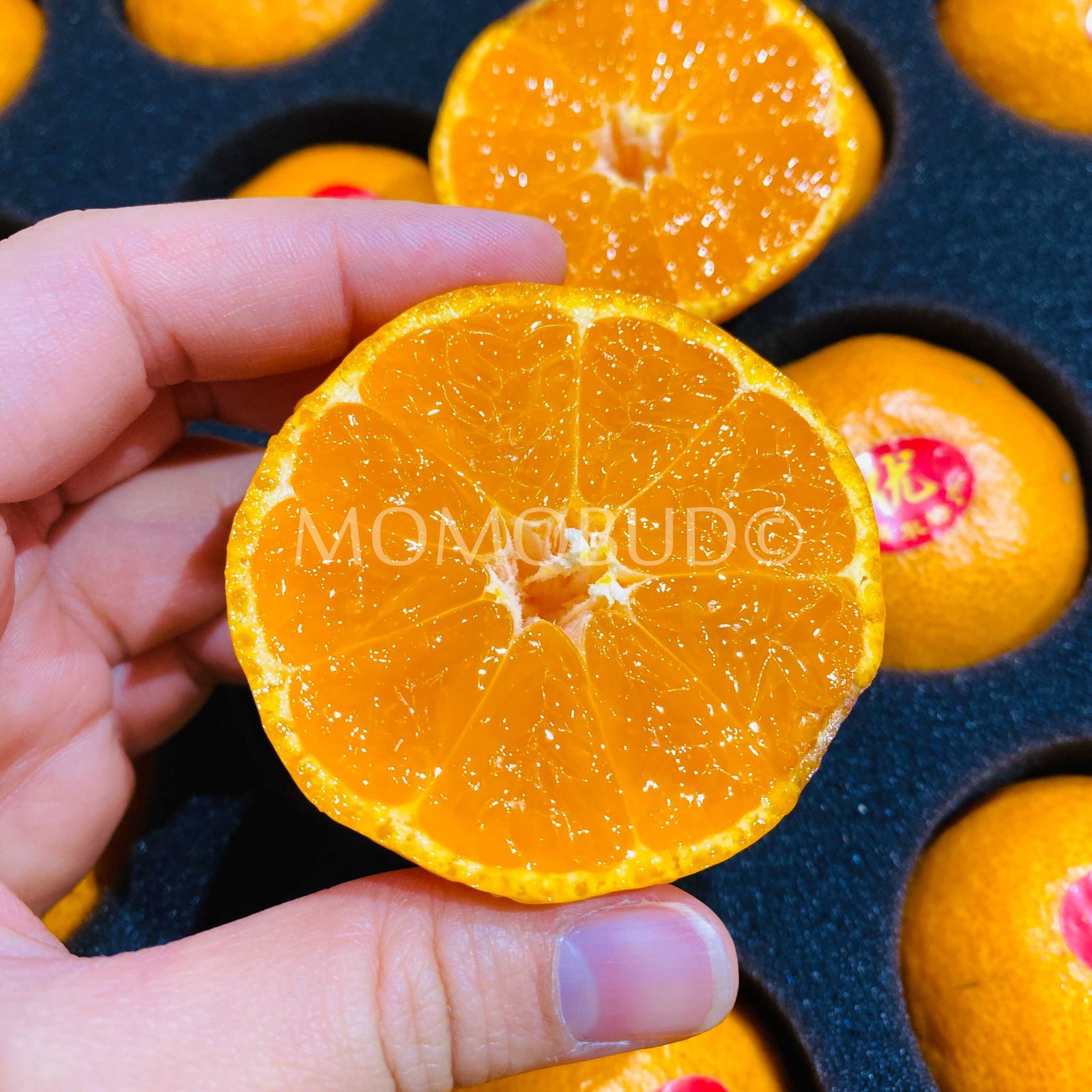 Premium Yongquan Mandarin Orange Gift Box - Image 4