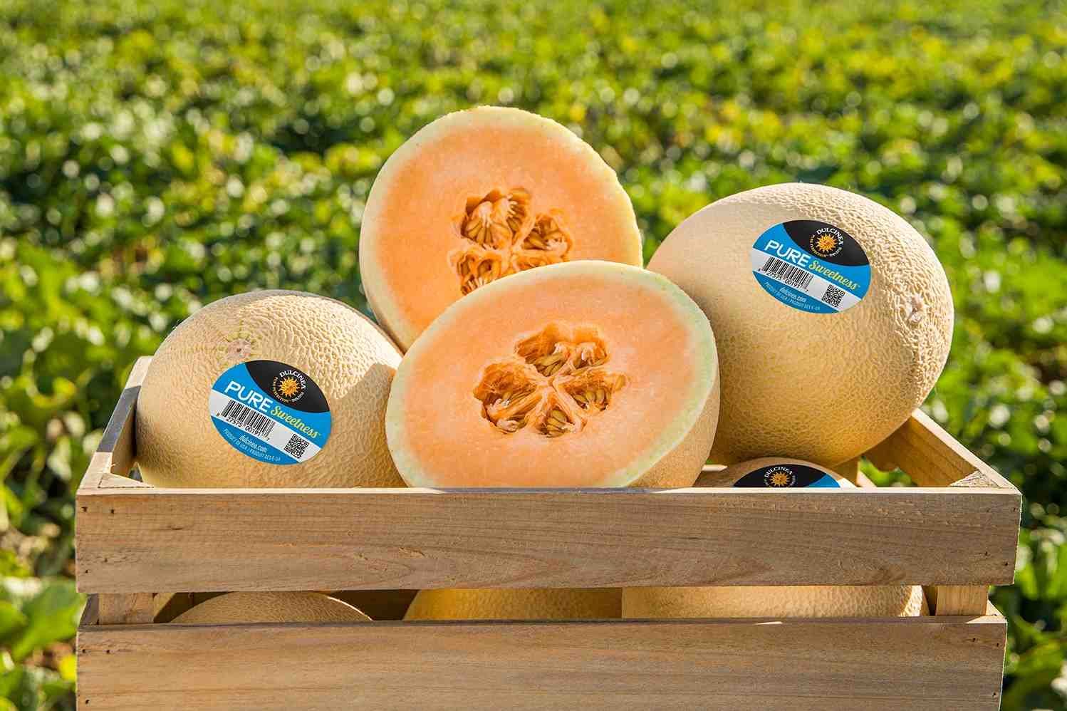 Pure Sweetness™ Melon (Large) - Image 2