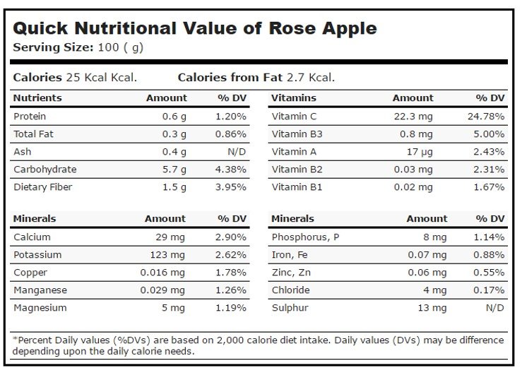 Pacific Rose Apple - Image 8