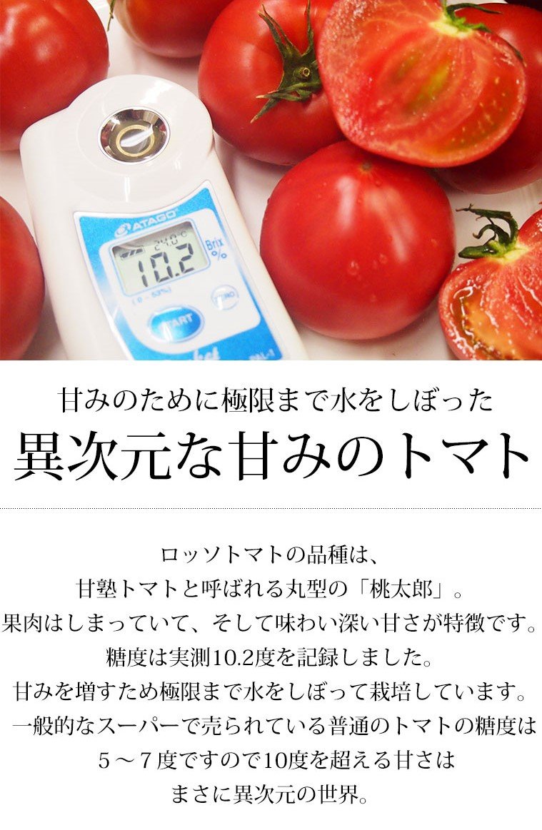 Japanese Aichi Rosso Fruit Tomato Gift Box (1kg) - Image 9