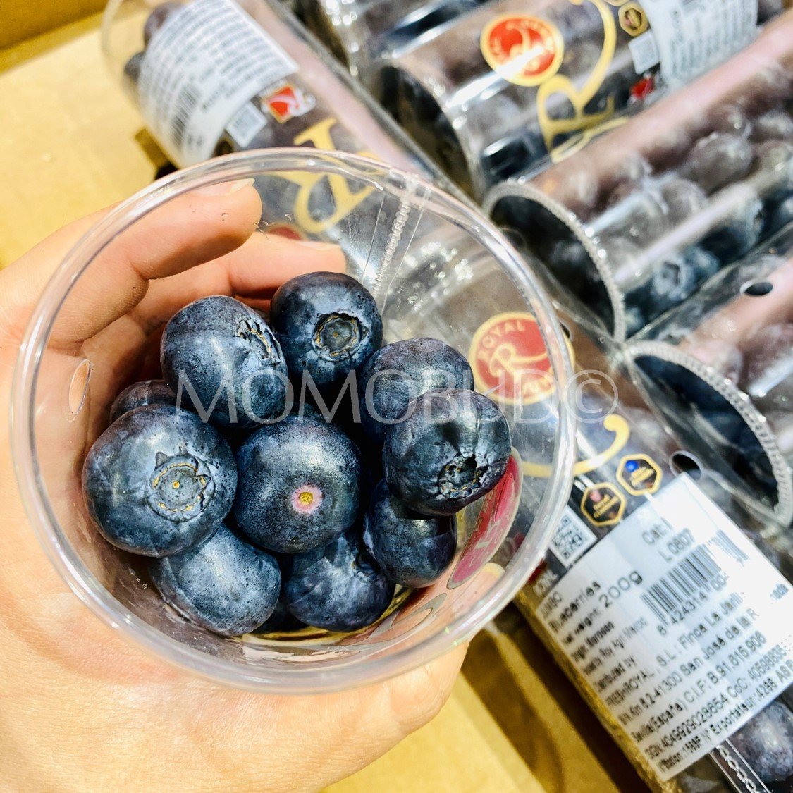 Royal® Jumbo Blueberry (200g punnet) - Image 3