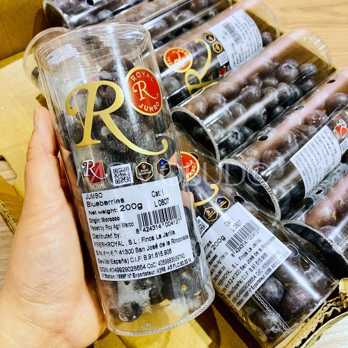 Royal® Jumbo Blueberry (200g punnet) - Image 2
