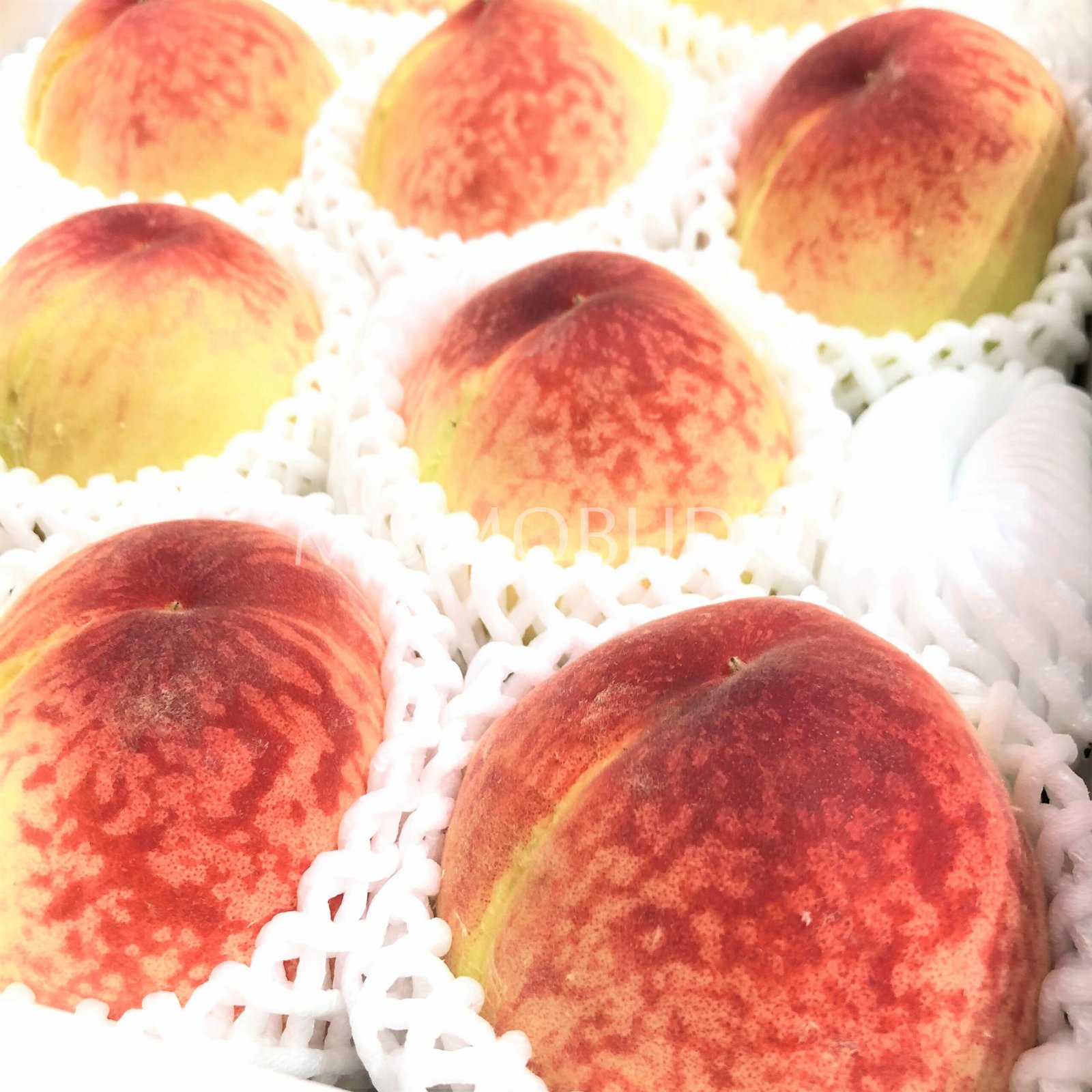 Japanese Nagata Hakuhou White Peach Gift Box (4kg) - Image 2