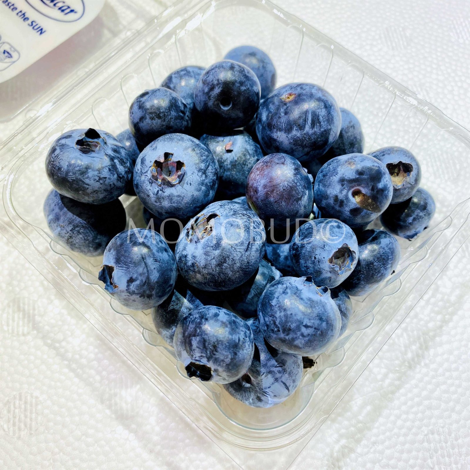 Jumbo Sanlucar Blueberry - Image 2