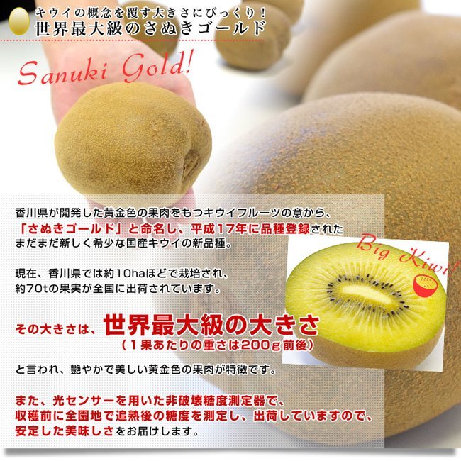Japanese Jumbo Sanuki Gold Kiwi (1pc, 200g box) - Image 9