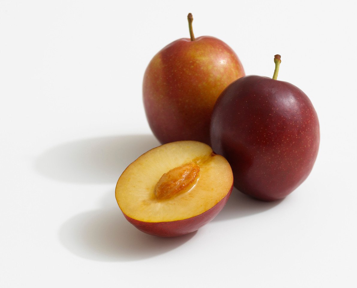 Sierra Sweet Plum - Image 6