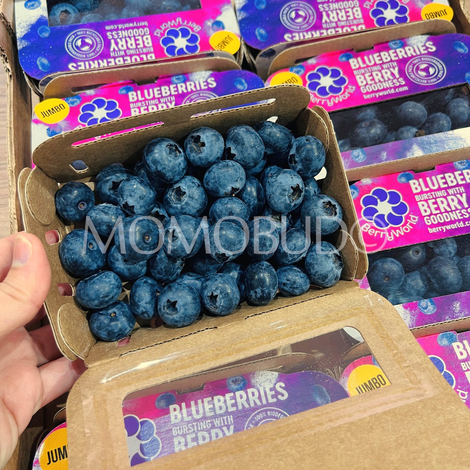 Berryworld® Jumbo Blueberry (150g pack) - Image 3
