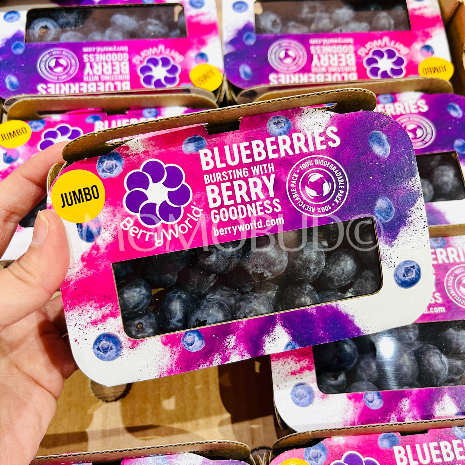 Berryworld® Jumbo Blueberry (150g pack) - Image 2