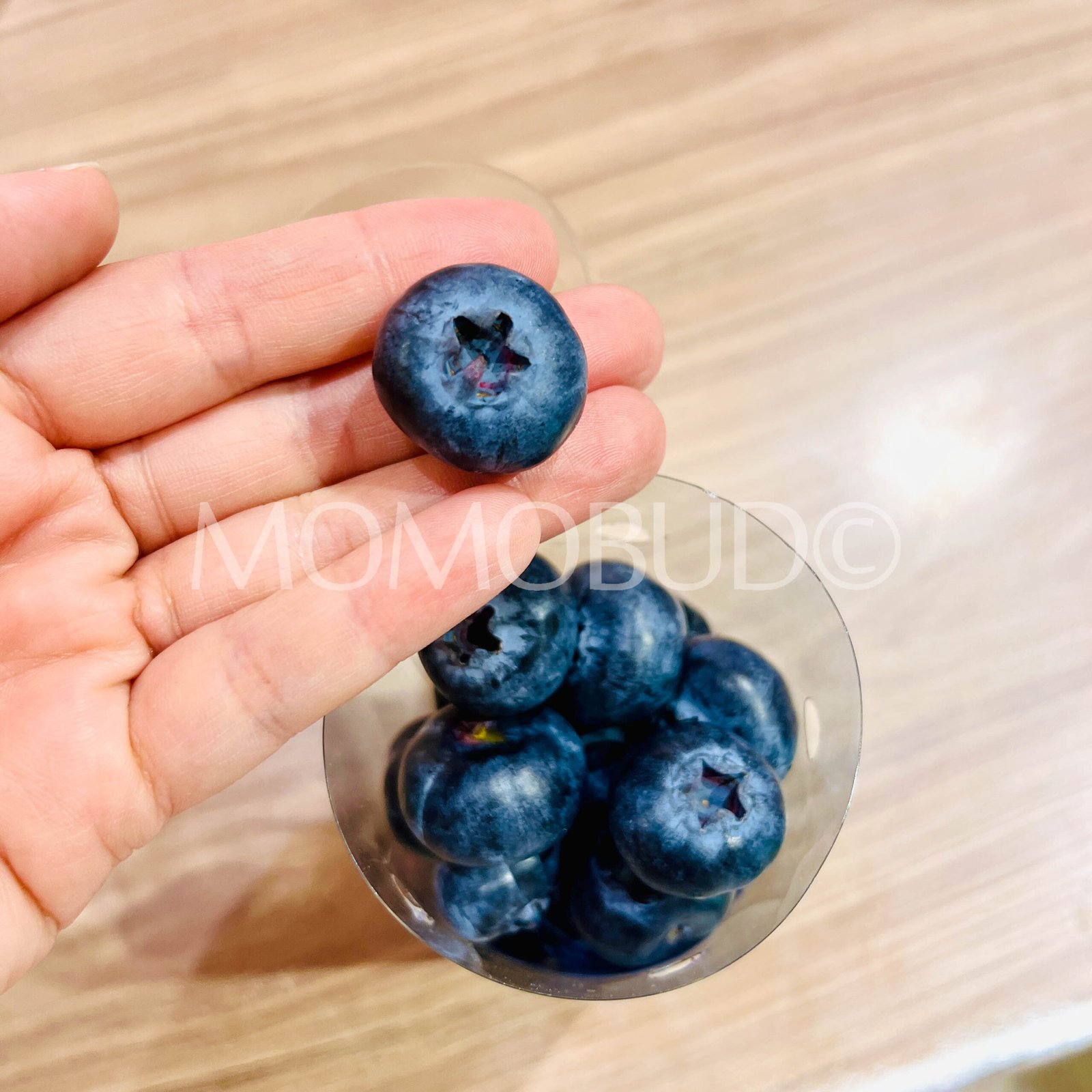 Super Jumbo Core Blueberry (200g tub) - Image 2