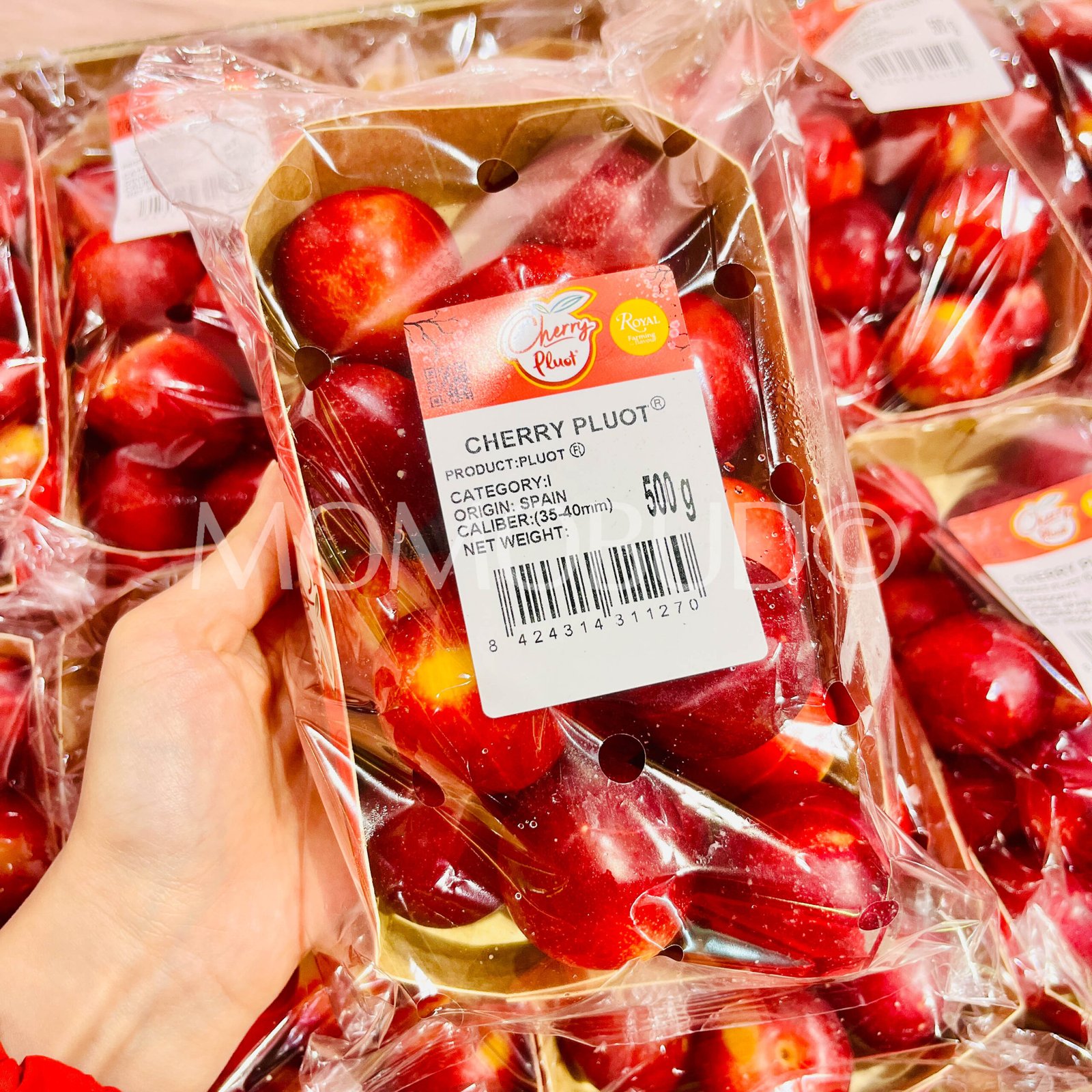 Spain Cherry Pluot® (500g pack) - Image 2