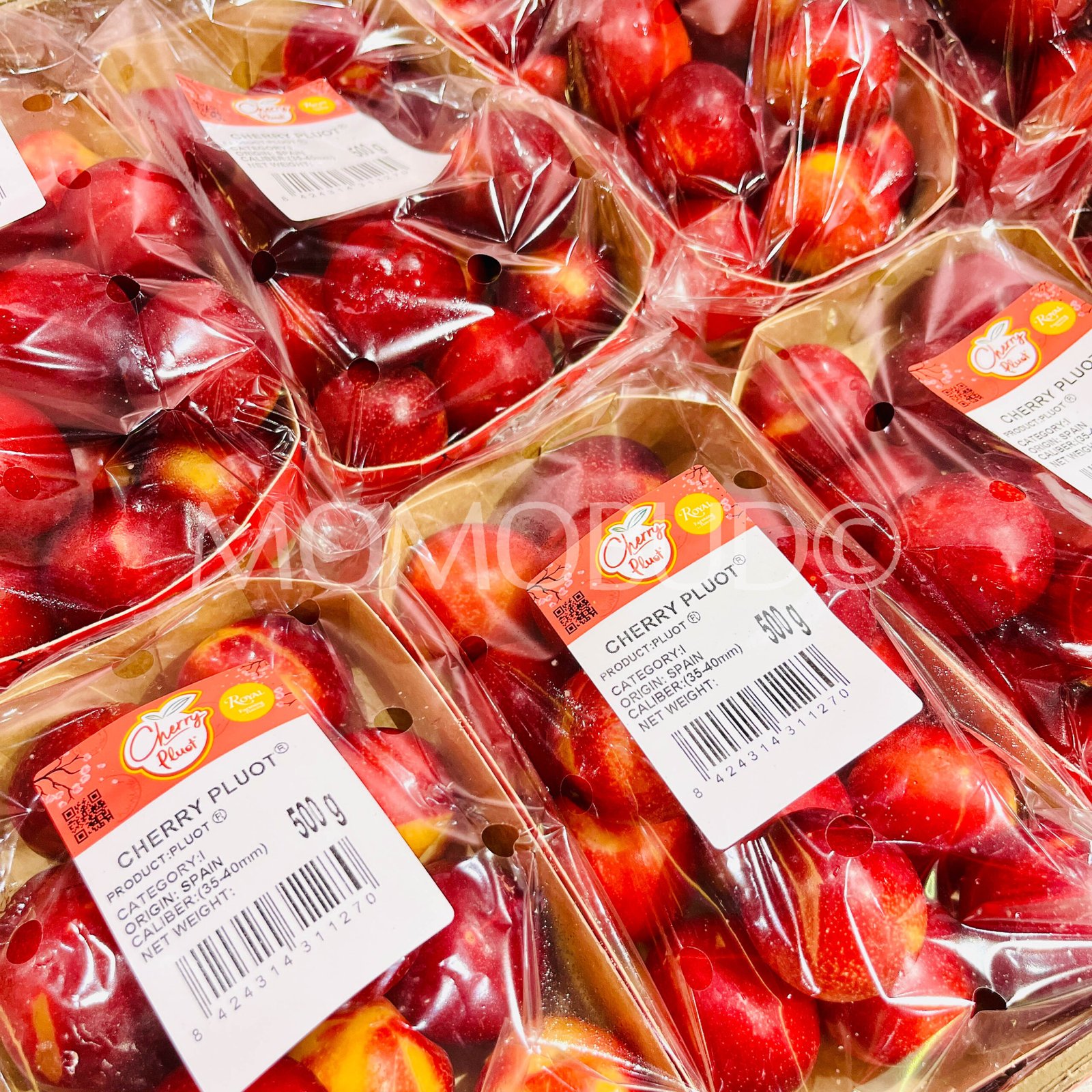 Spain Cherry Pluot® (500g pack) - Image 3
