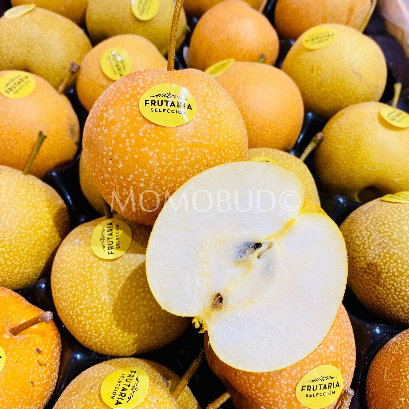 Spain Hosui Pear (Small) - Image 3