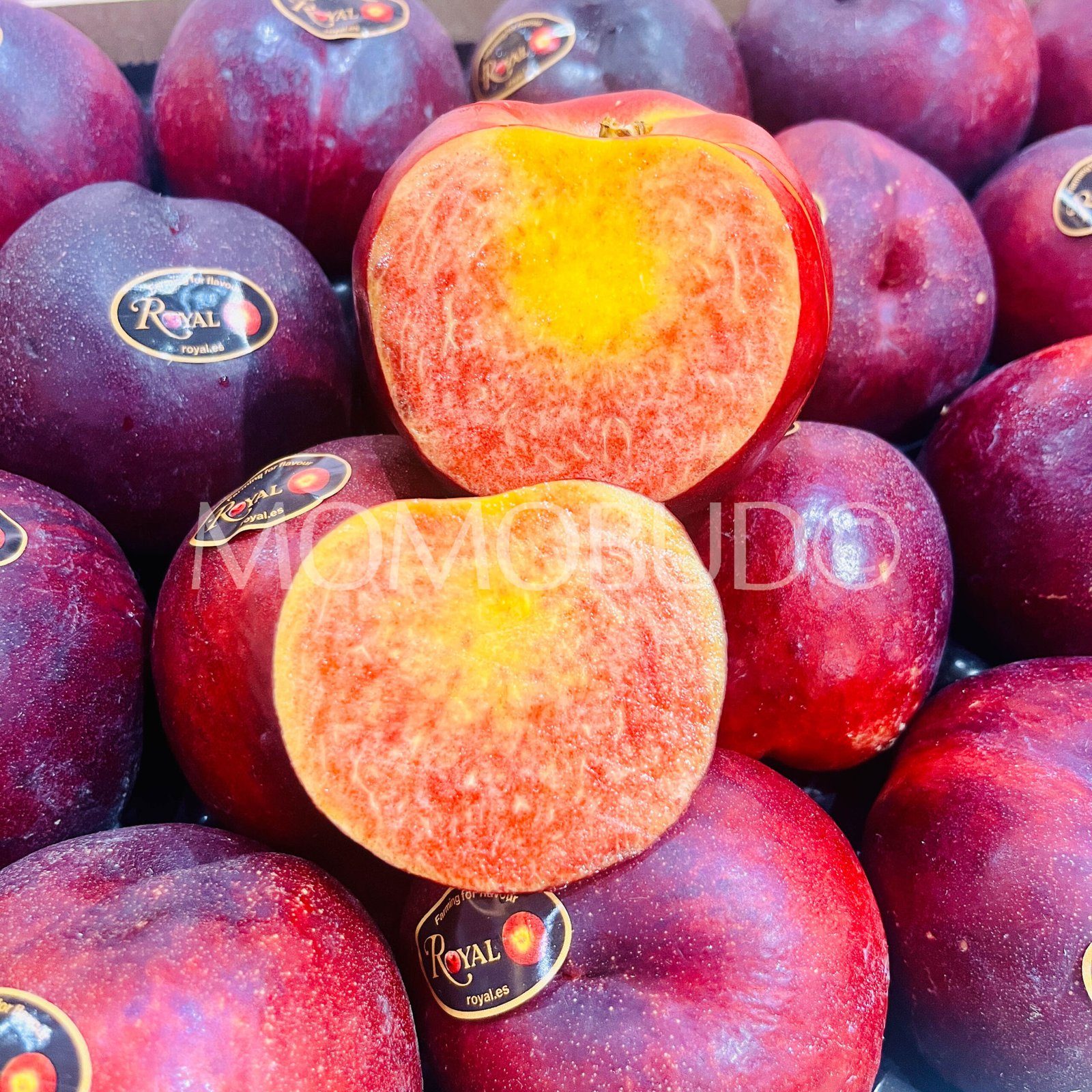 Royal Sanguine© Red Nectarine (Medium) - Image 5
