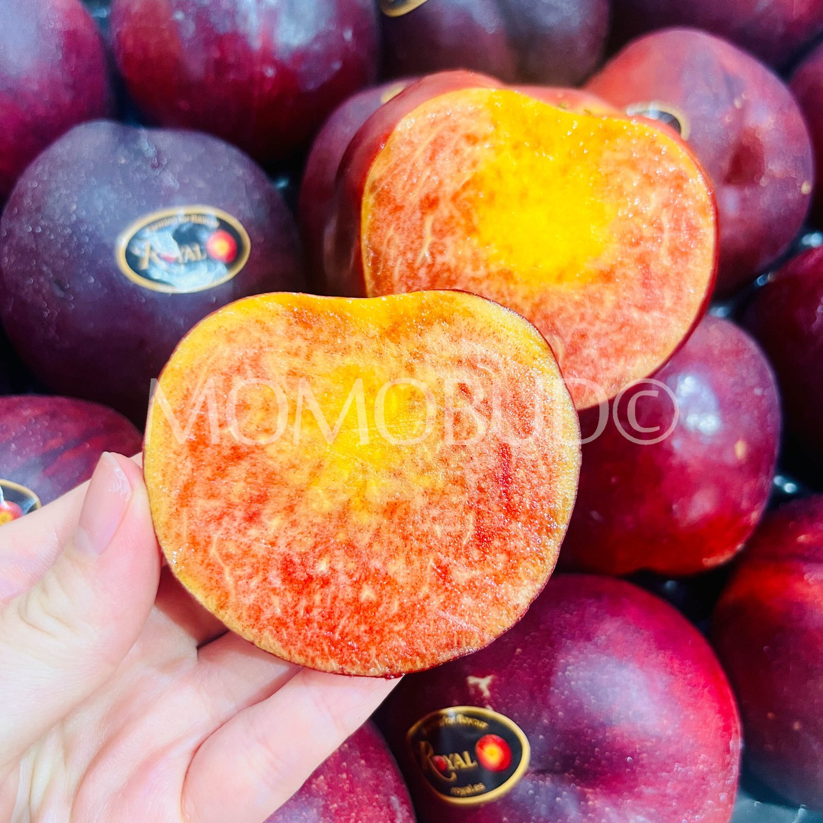 Royal Sanguine© Red Nectarine (Medium) - Image 6