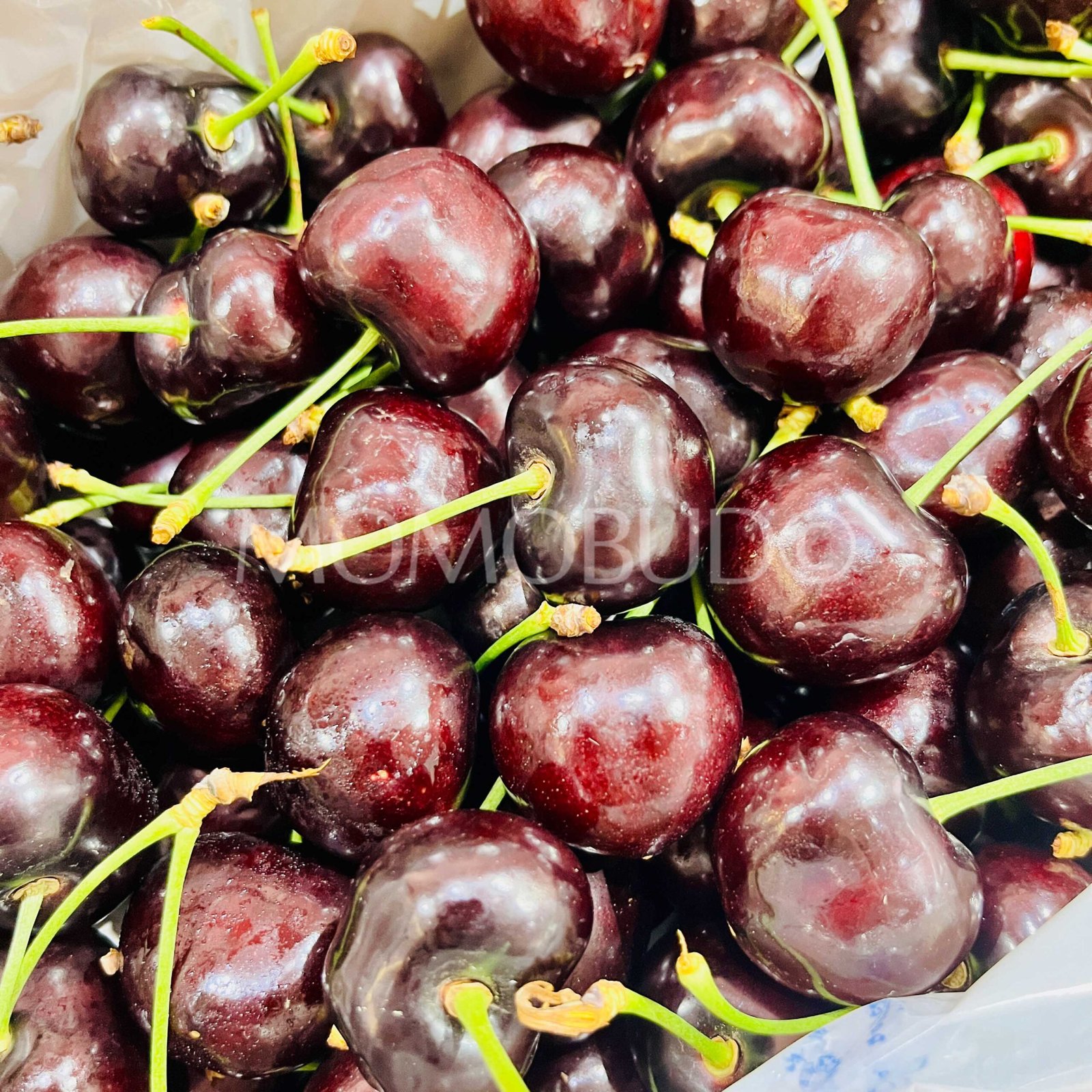 Jumbo Spain Sofia Red Cherry Gift Box (2kg) - Image 3