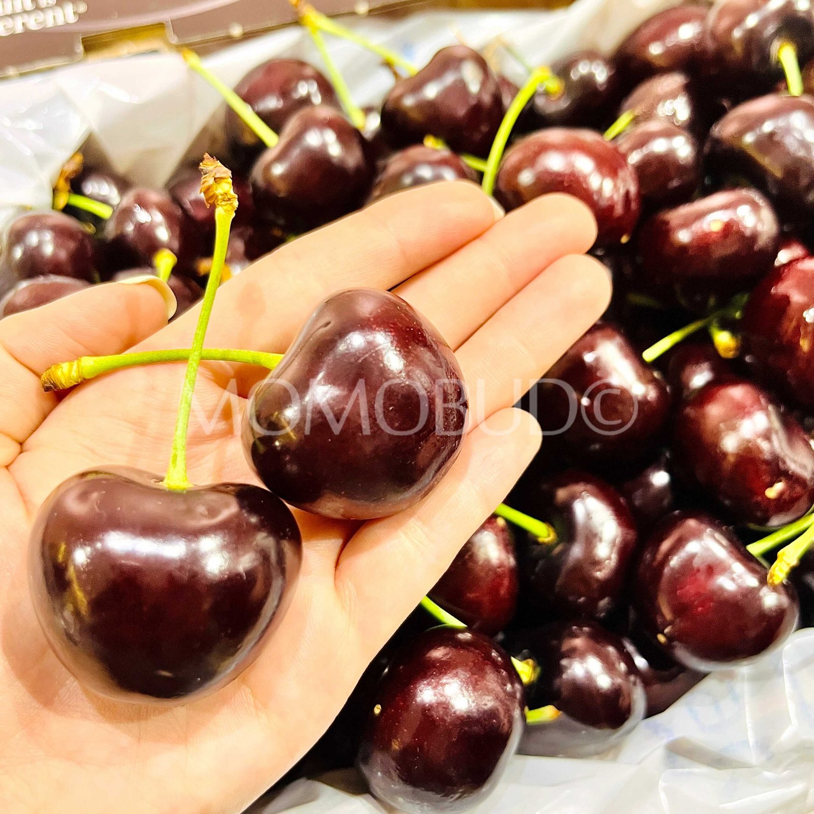 Jumbo Spain Sofia Red Cherry Gift Box (2kg) - Image 4
