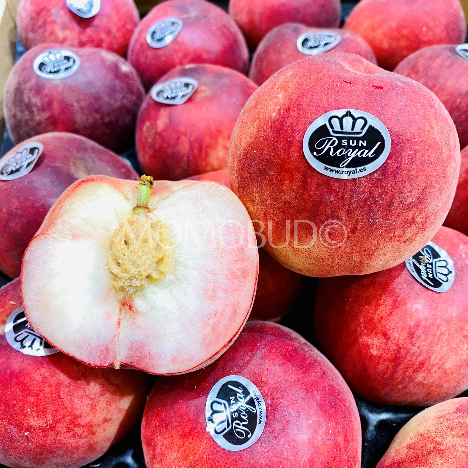 Robindelice® White Peach (Small-Plus) - Image 2