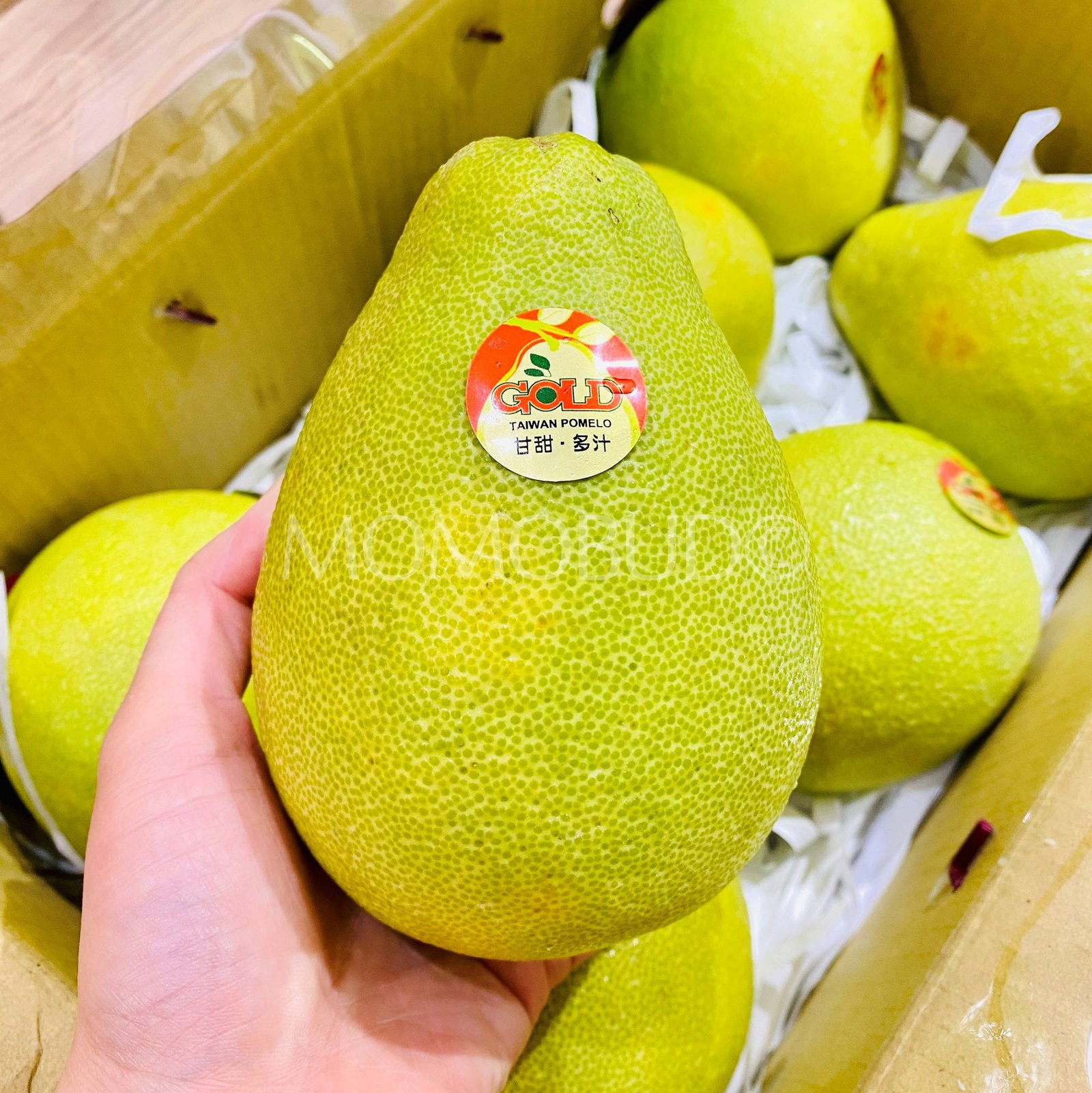 *Mid-Autumn Special* Taiwan Gold Madou Wendan Pomelo Gift Box (3kg) - Image 3