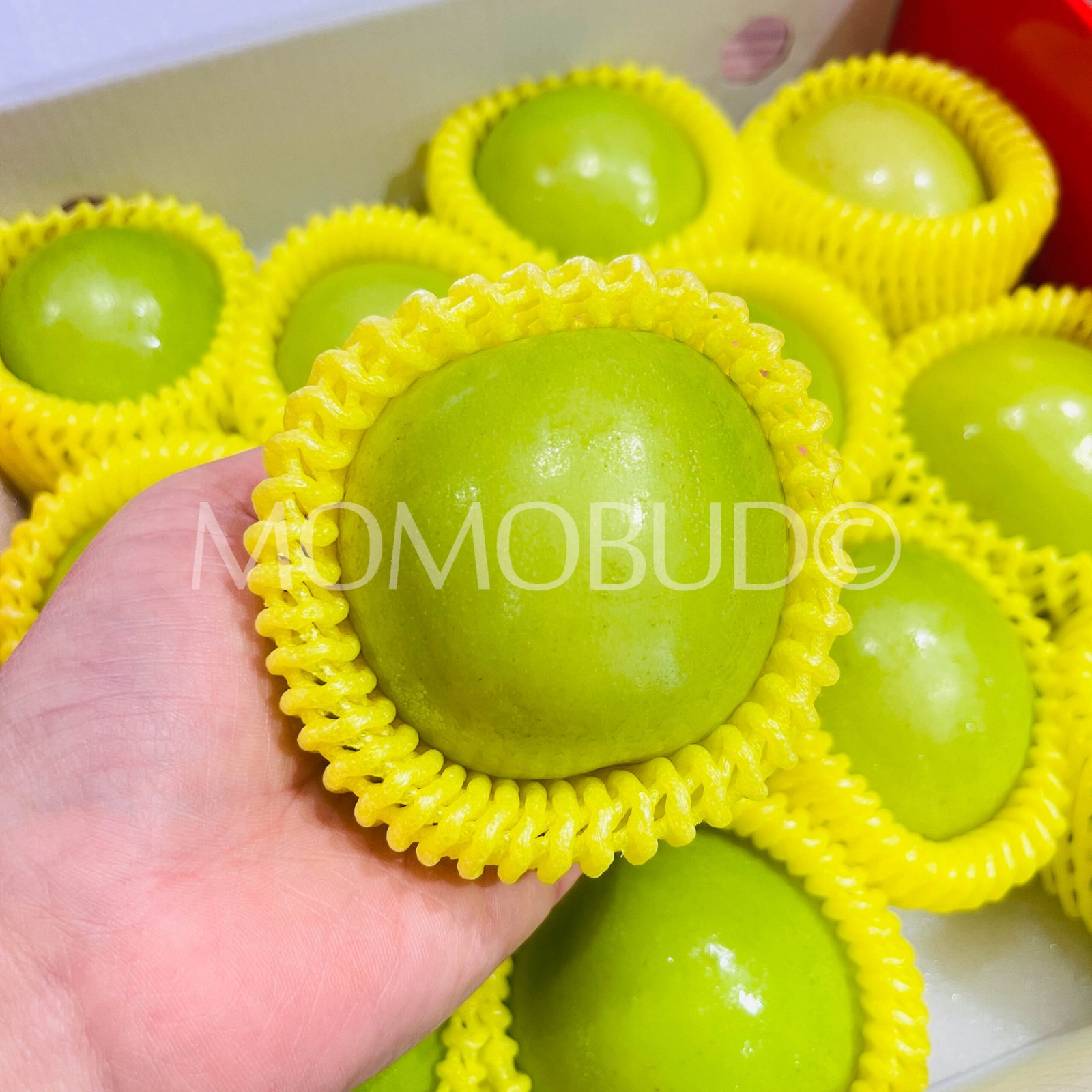 Taiwan Fresh Jujube (Dates) Gift Box - Image 3