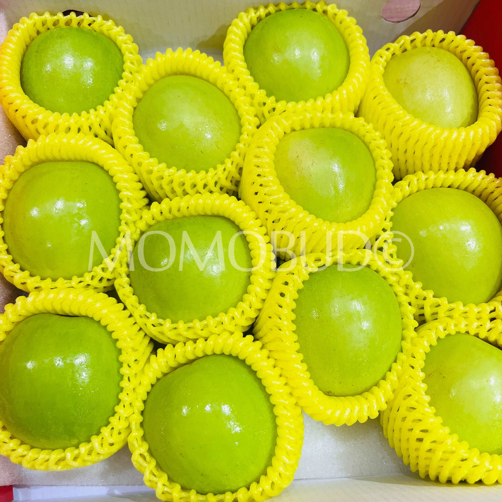 Taiwan Fresh Jujube (Dates) Gift Box - Image 2