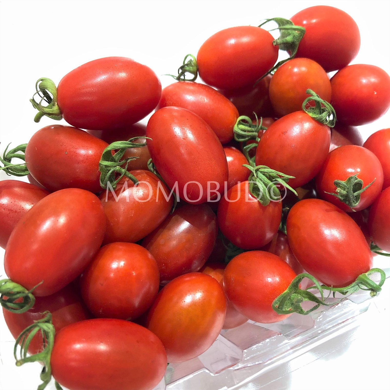 Hothouse Virgin Tomato - Image 2