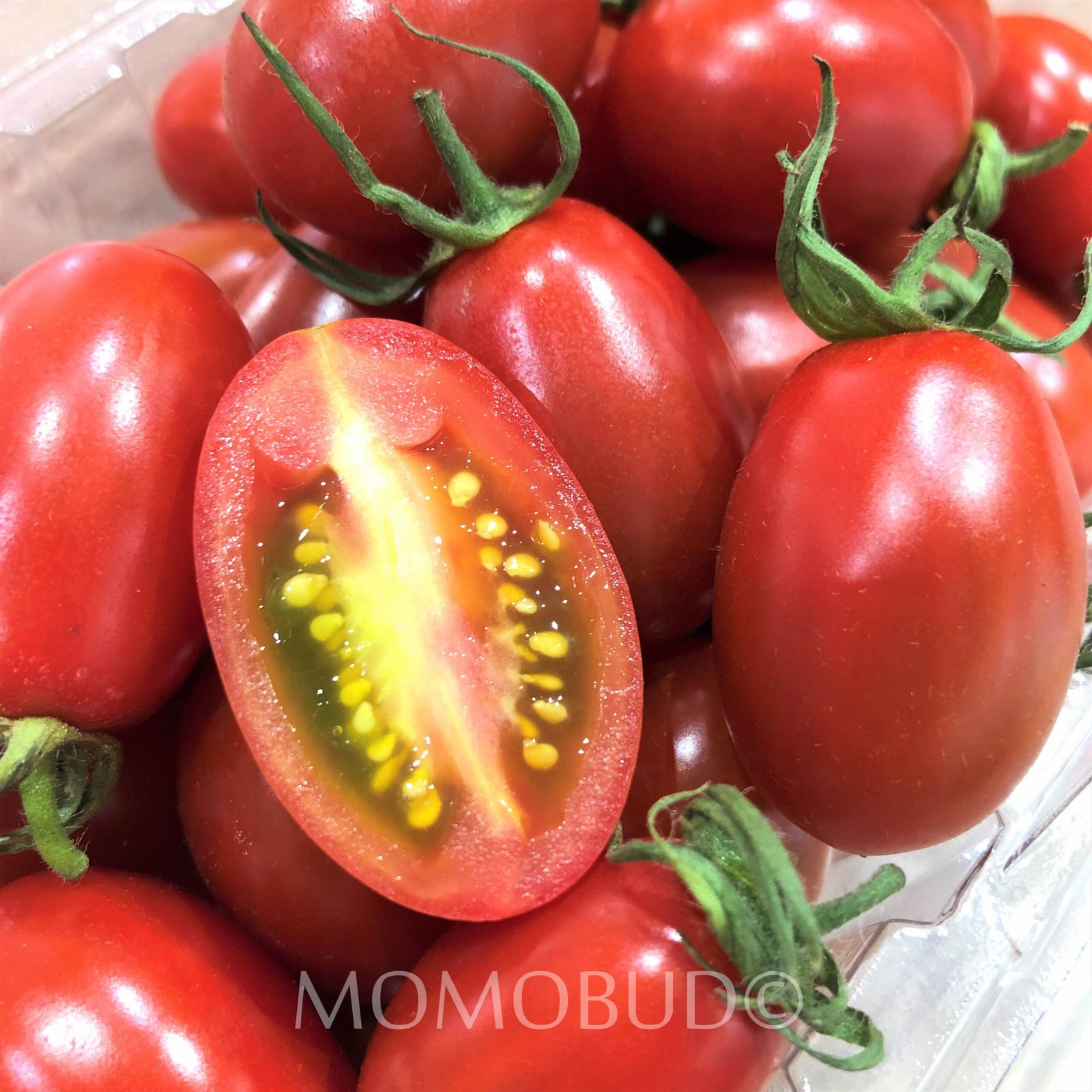 Hothouse Virgin Tomato - Image 3