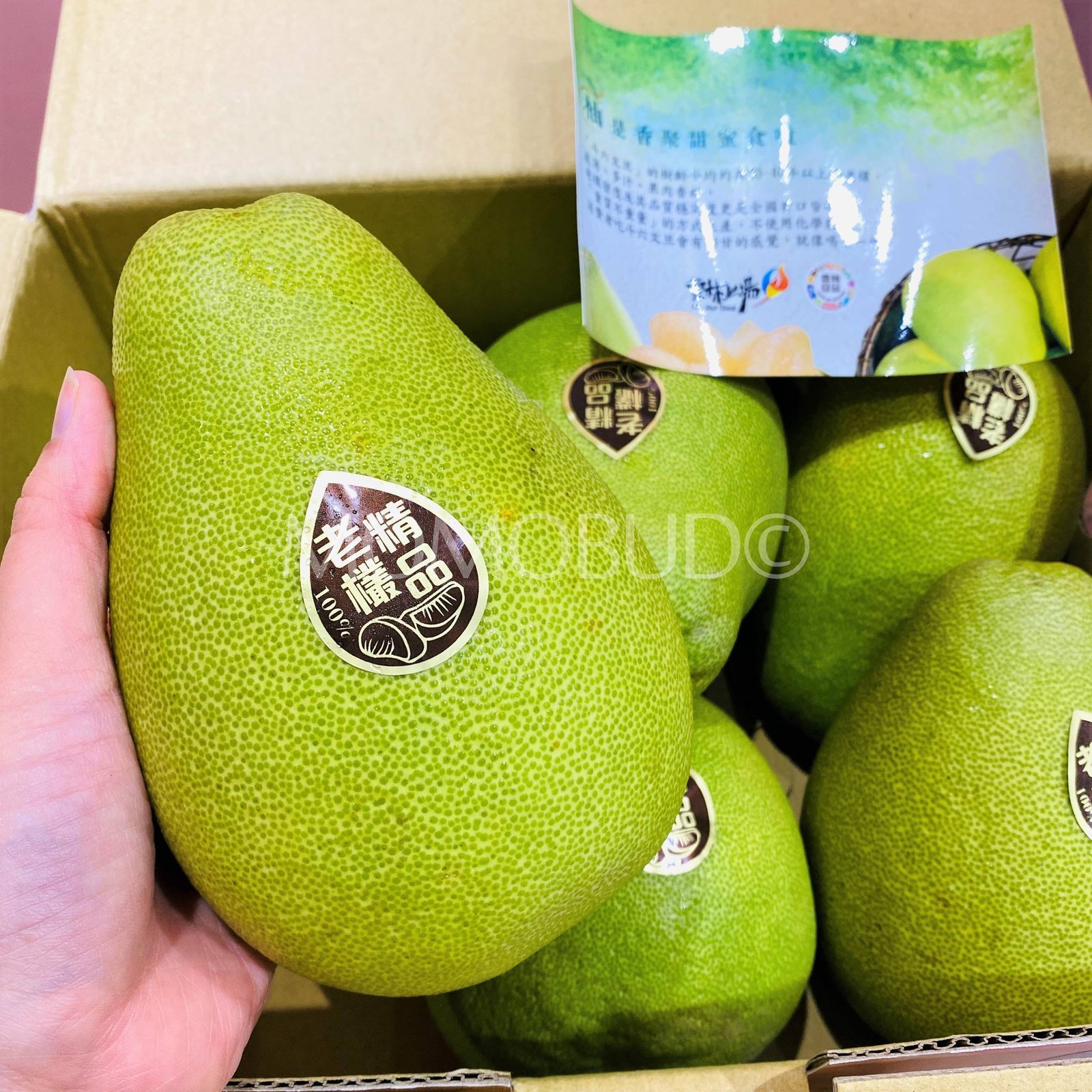 Taiwan Douliu Wendan Pomelo Gift Box (3kg) - Image 3