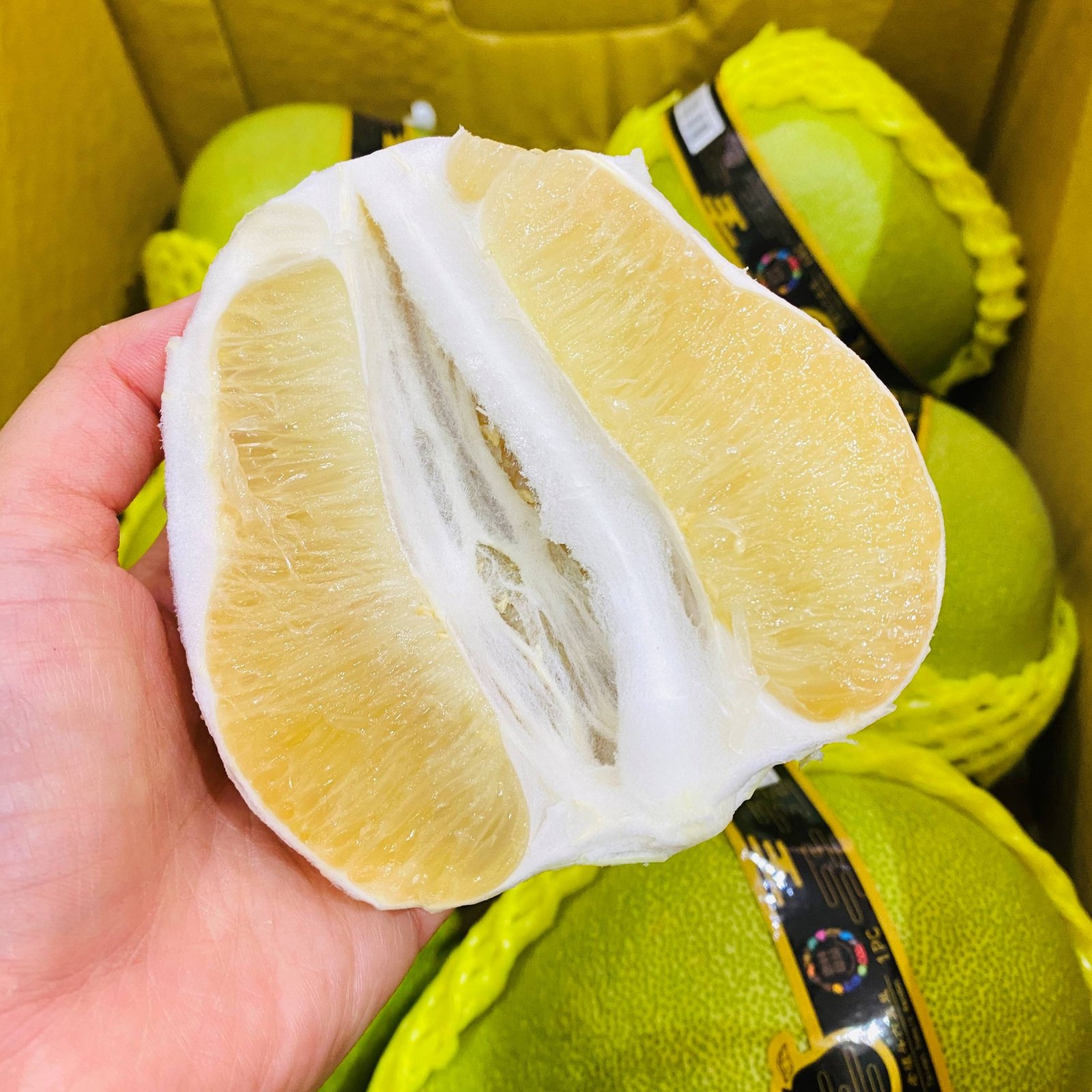 Taiwan Douliu Wendan Pomelo Gift Box (3kg) - Image 4