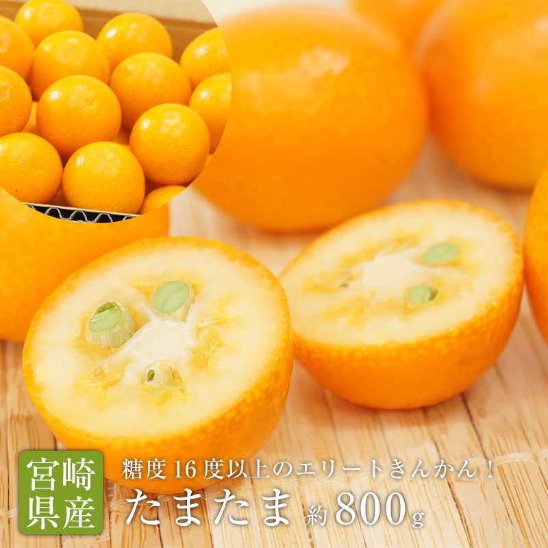Japanese Tamatama Kinkan (Kumquat, 200g pack) - Image 3