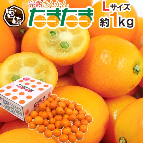 Japanese Tamatama Kinkan (Kumquat, 200g pack) - Image 2