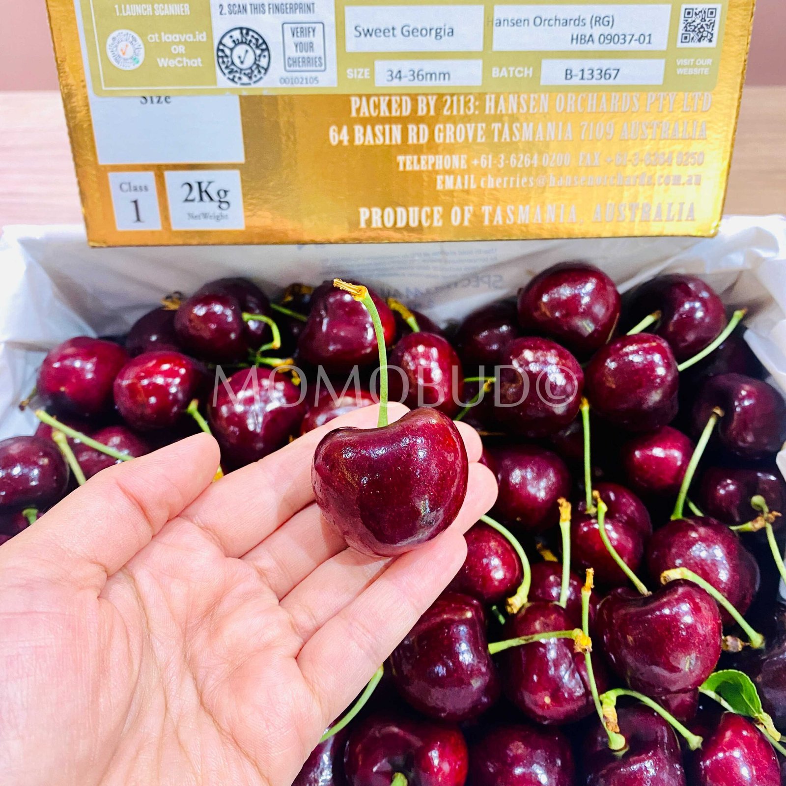 Premium Hansen Orchards Red Cherry (2kg Premium Gold Box) - Image 3