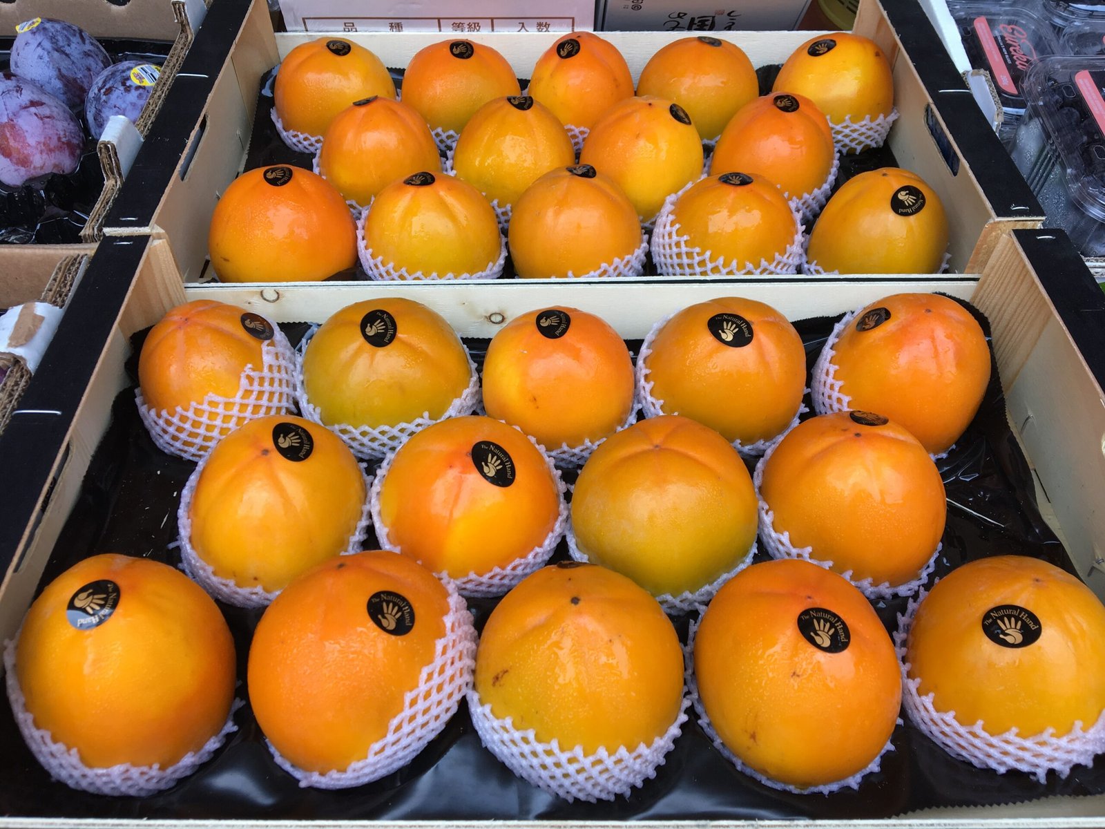 Spain Kaki Persimmon Box - Image 3