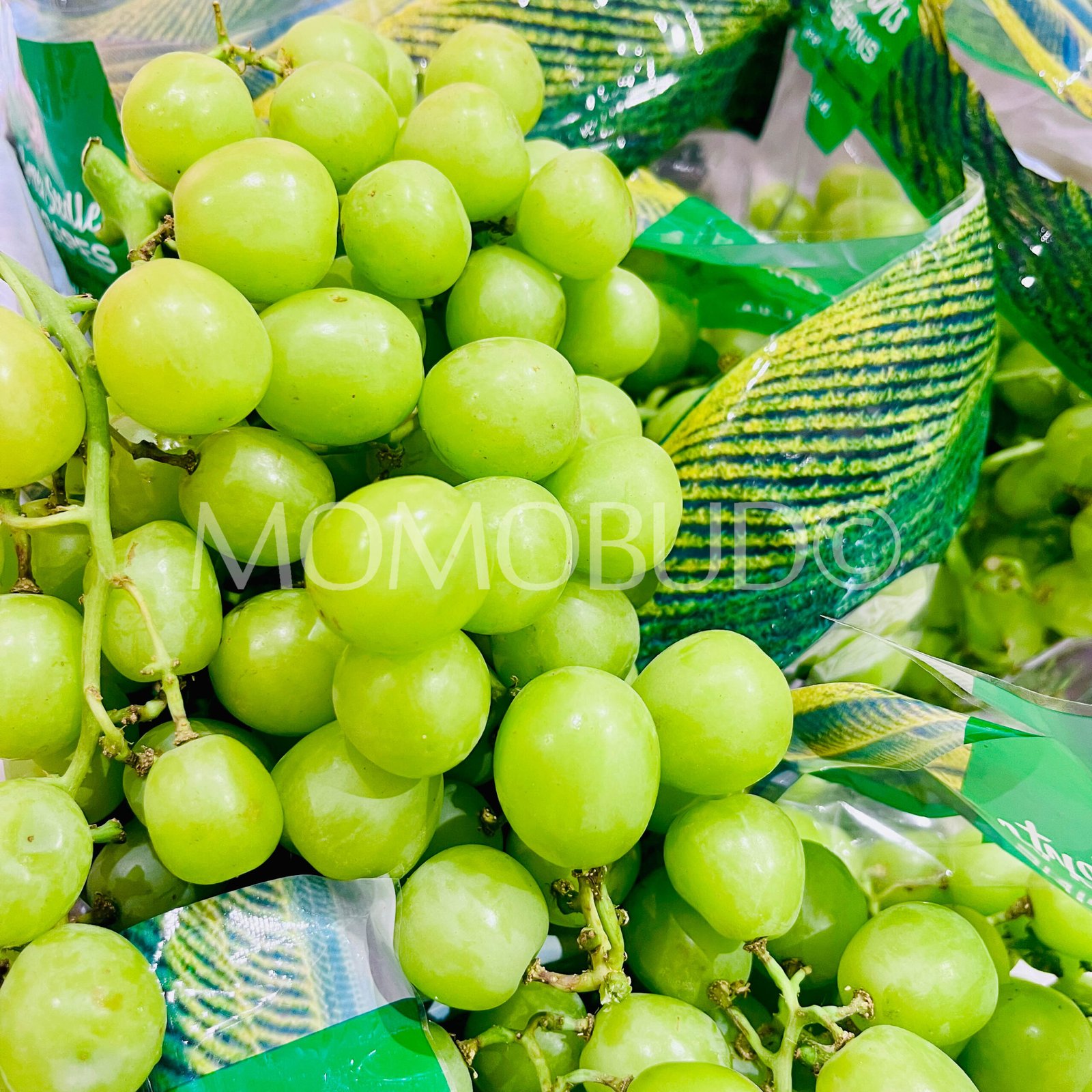 Ivory Green Seedless Grapes (1kg) - Image 3