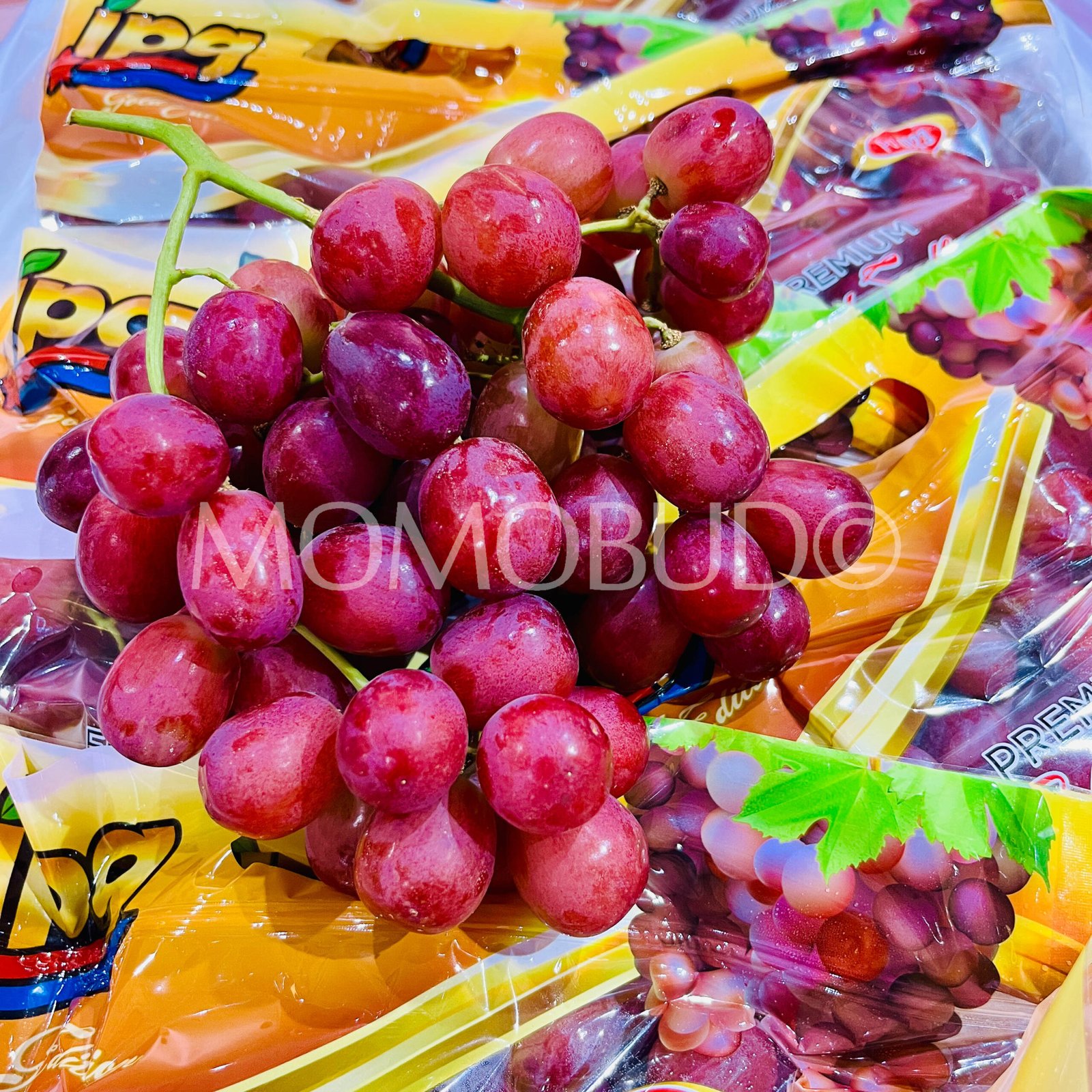 Jack's Salute® Red Seedless Grapes (1kg) - Image 2