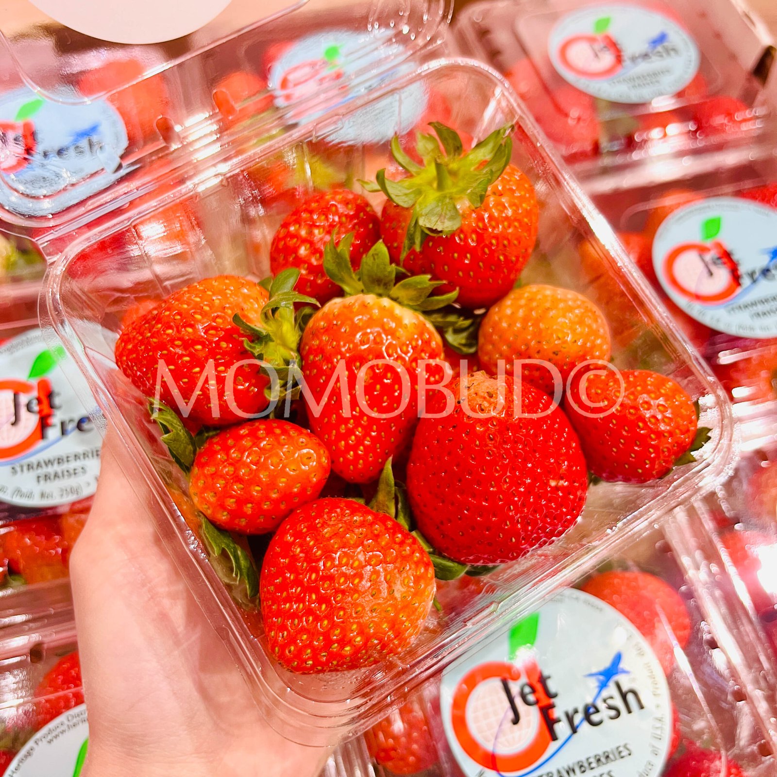 USA Jet Fresh Strawberry (250g punnet) - Image 4