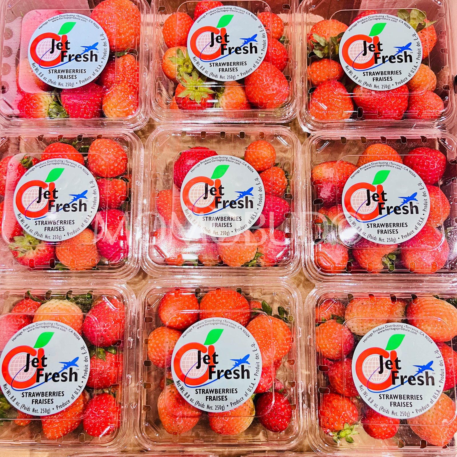 USA Jet Fresh Strawberry (250g punnet) - Image 2