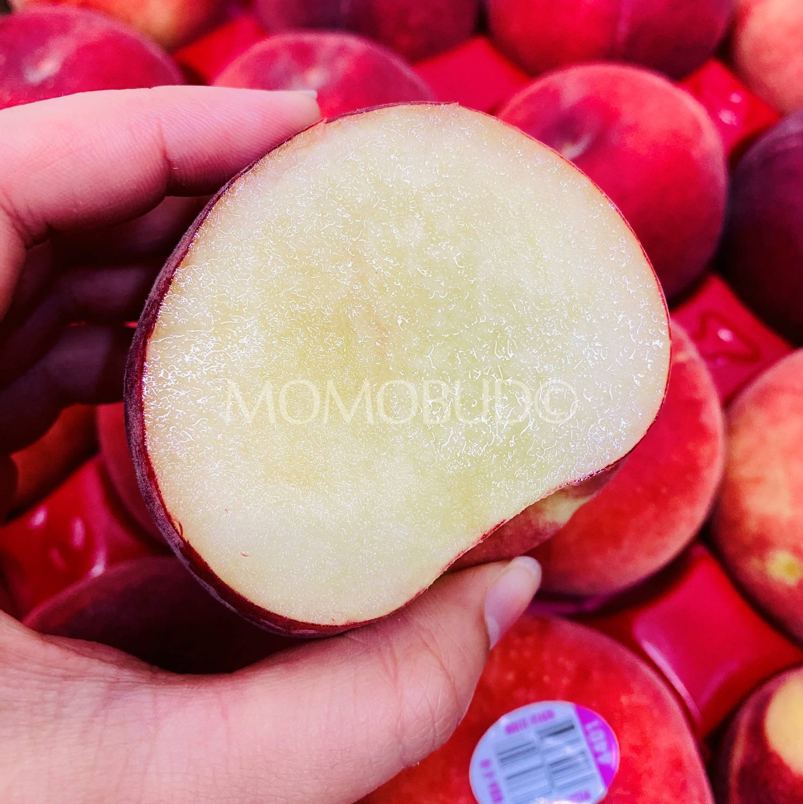 Snow Angel White Peach (Small-Plus, 3pcs) - Image 3