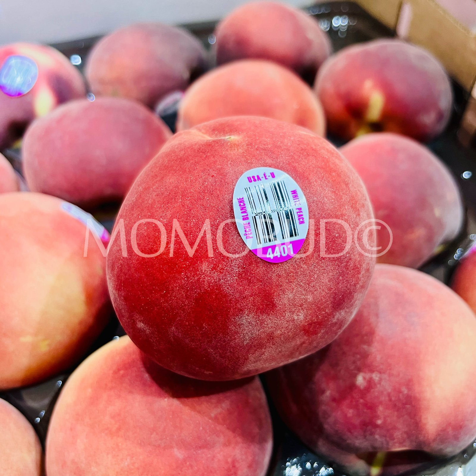 Premium Summeripe Mia Snow White Peach (Medium) - Image 4