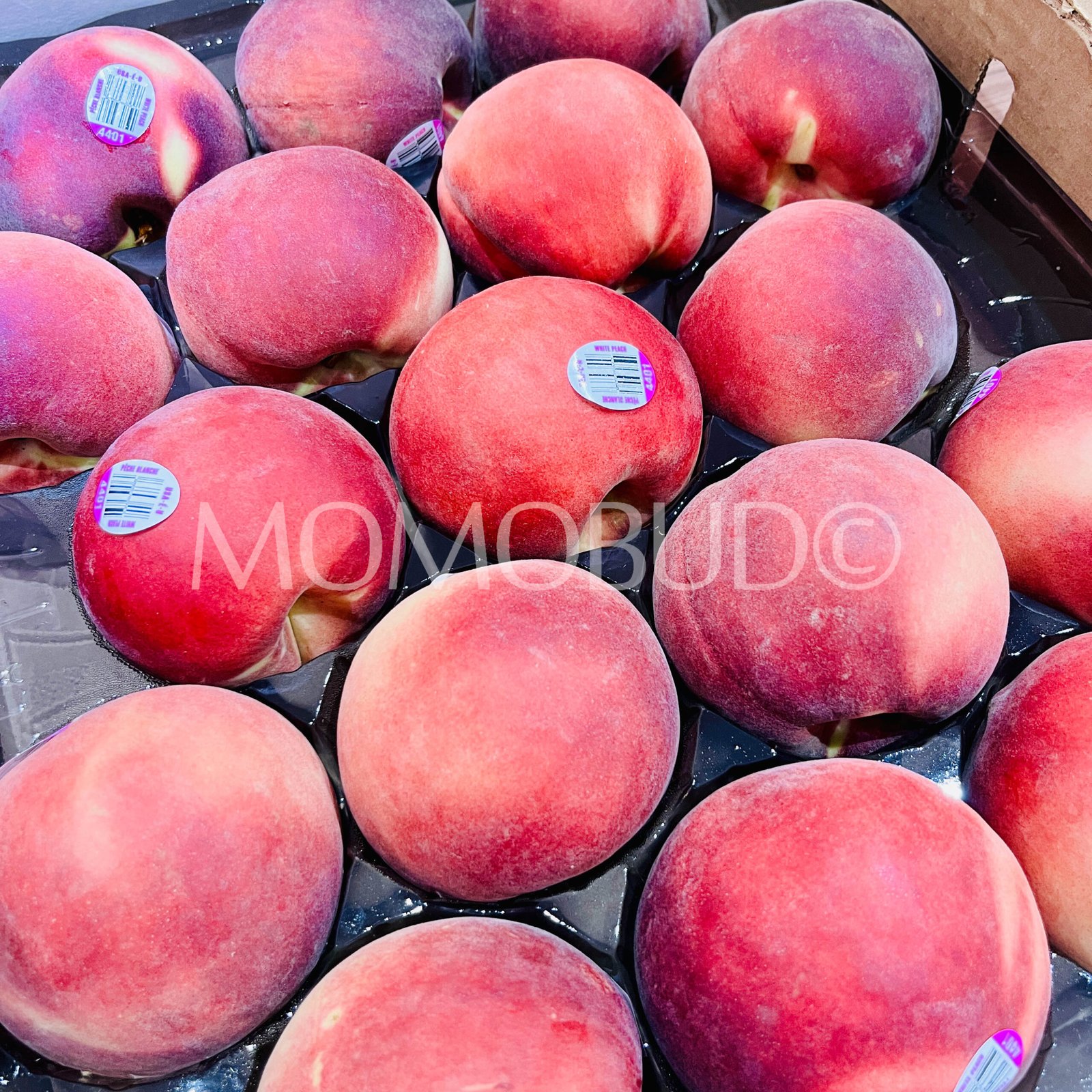 Premium Summeripe Mia Snow White Peach (Medium) - Image 3