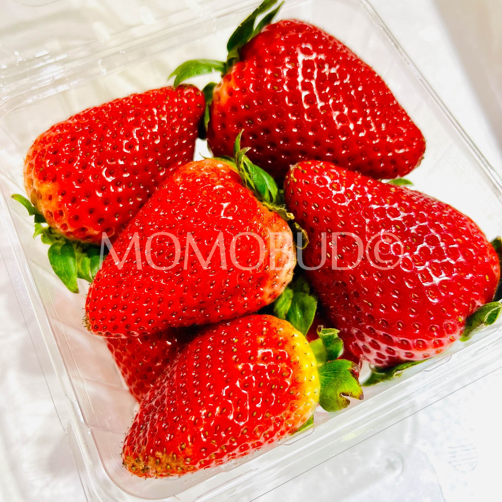 USA Sweet Darling® Strawberry (250g punnet) - Image 4