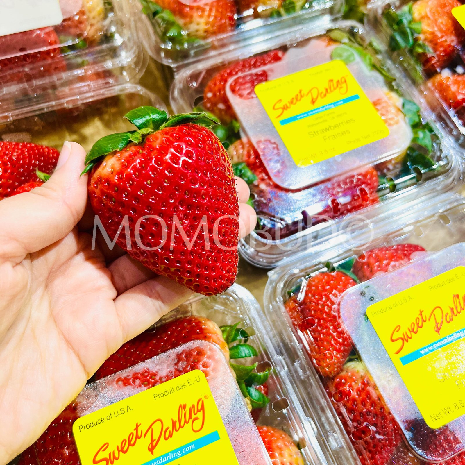 USA Sweet Darling® Strawberry (250g punnet) - Image 3