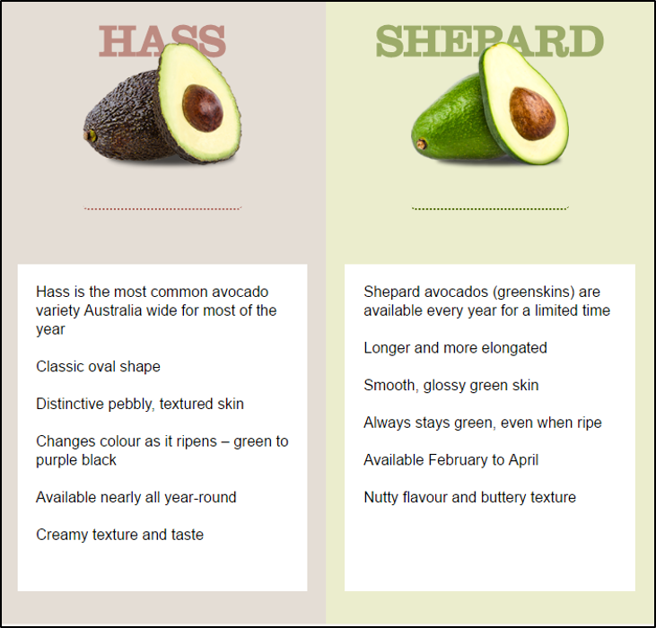 Australian Hass Avocado - Image 3