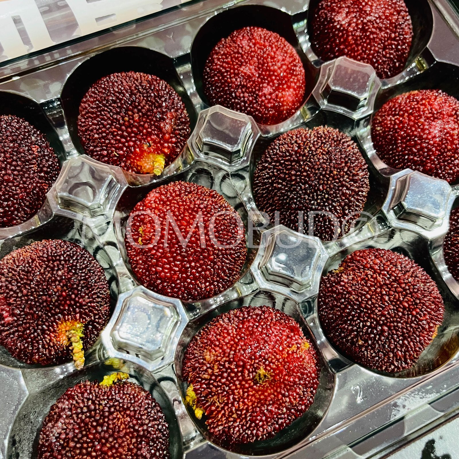 Premium Zhejiang Xianju Waxberry (XL 300g, 12pcs) - Image 4