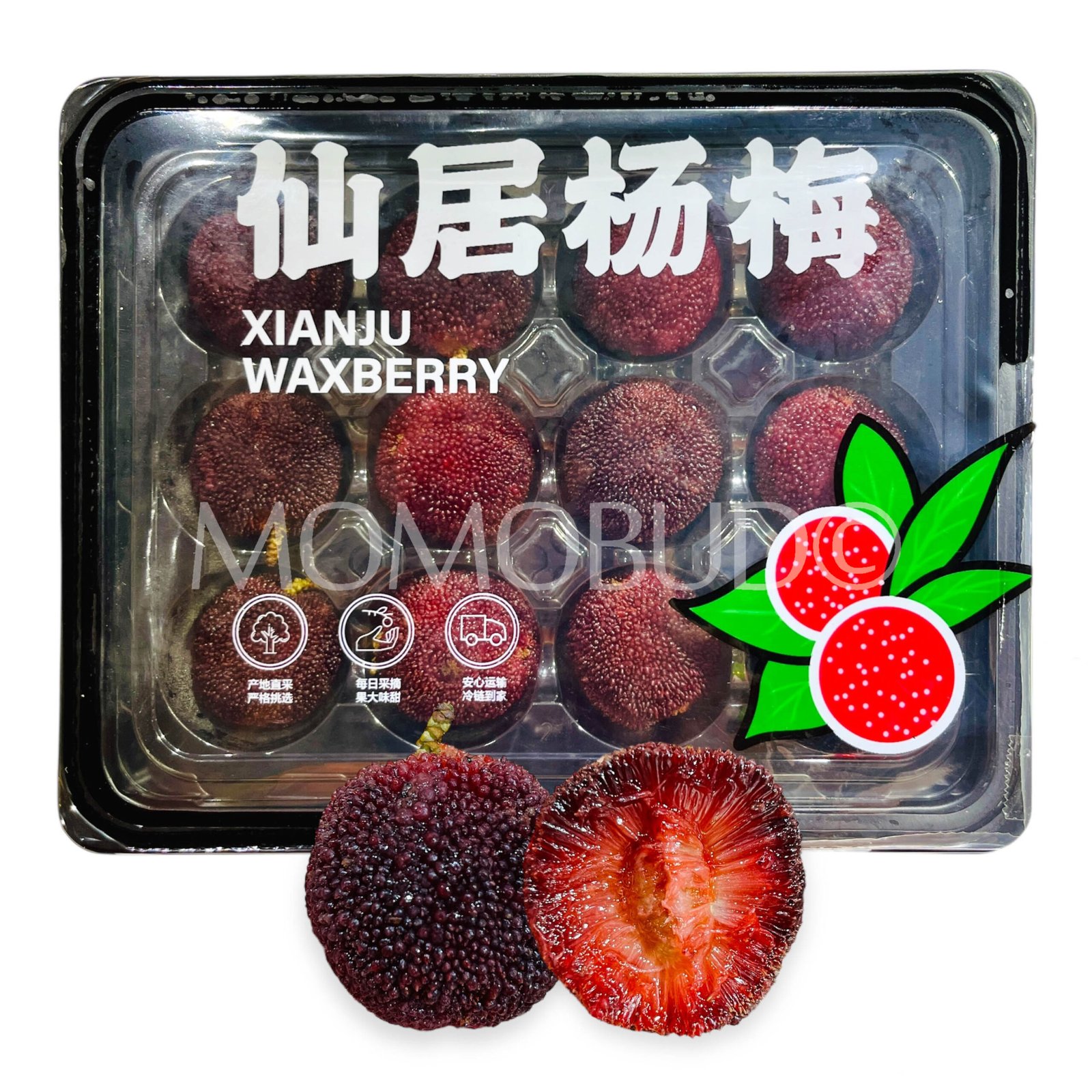 Premium Zhejiang Xianju Waxberry (XL 300g, 12pcs)