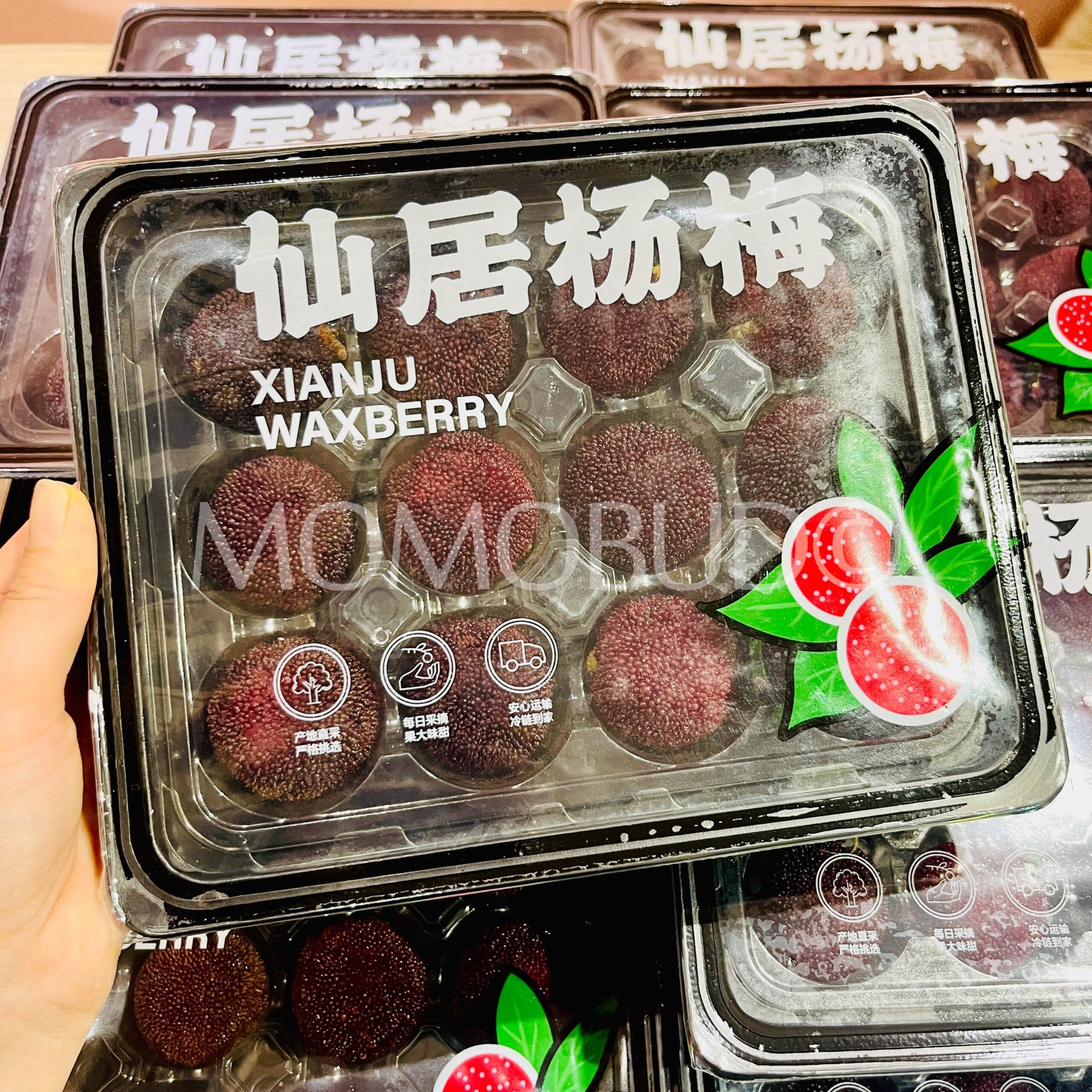 Premium Zhejiang Xianju Waxberry (XL 300g, 12pcs) - Image 3